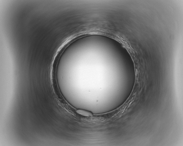 X0000116150292200911301546