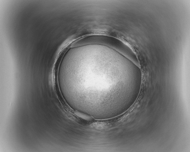 X0000116150294200911301546