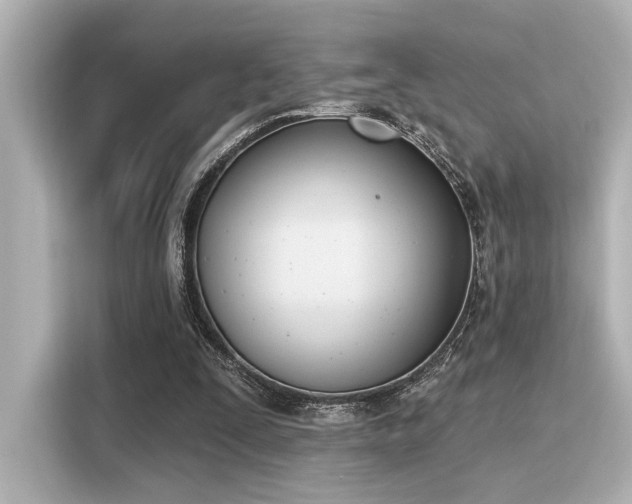 X0000116150295200911301546