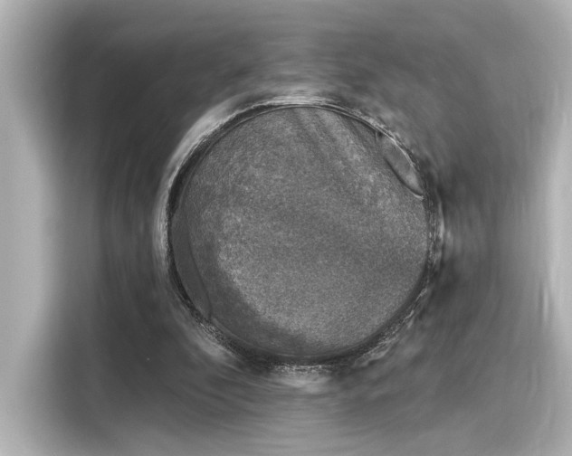 X0000116150296200911301546