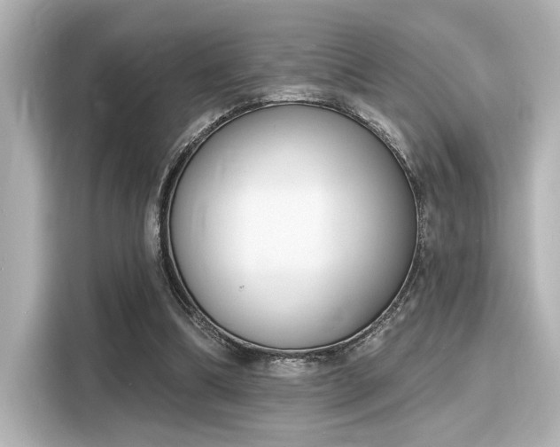 X0000116150298200911301546