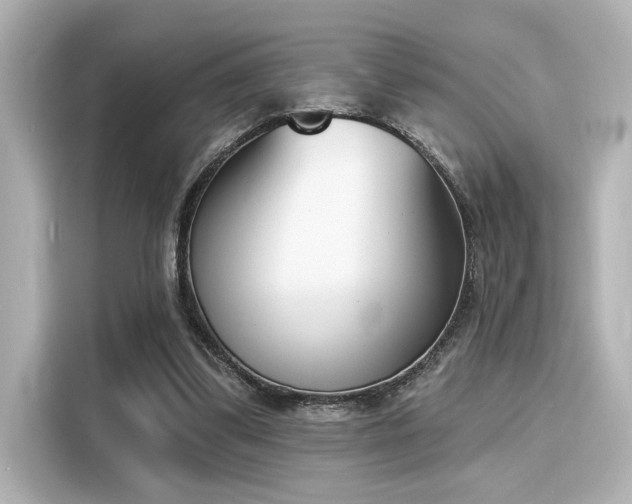 X0000116150299200911301546