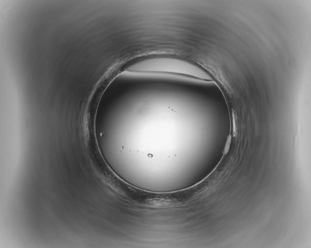 X0000116150300200911301546