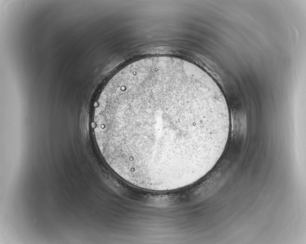 X0000116150301200911301546