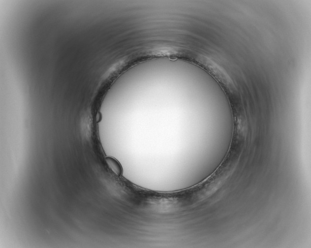 X0000116150304200911301546