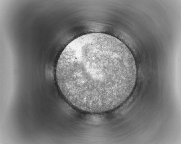 X0000116150305200911301546