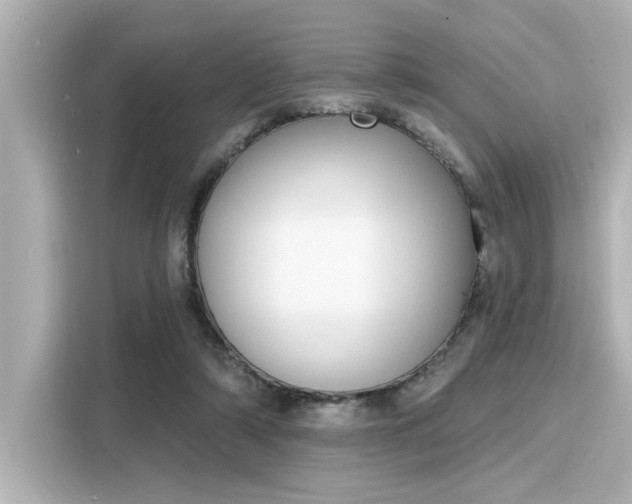 X0000116150306200911301546