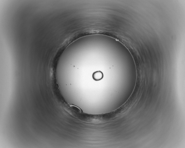 X0000116150308200911301546