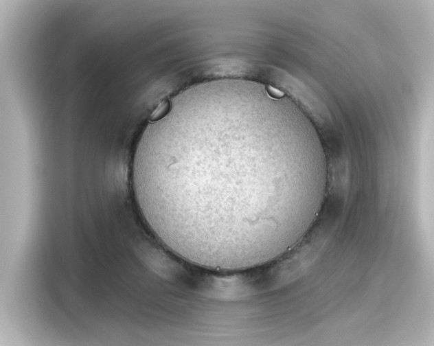 X0000116150309200911301546