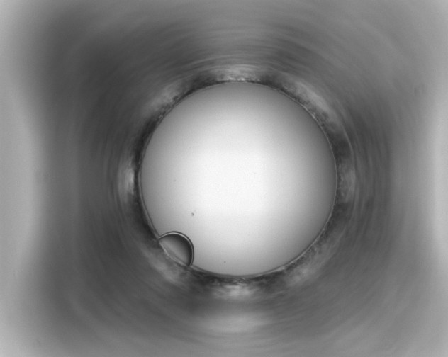 X0000116150310200911301546