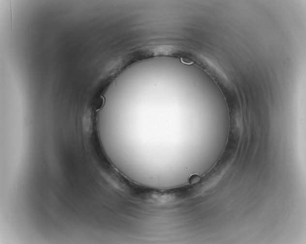 X0000116150311200911301546