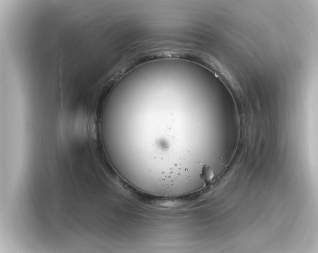 X0000116150313200911301546