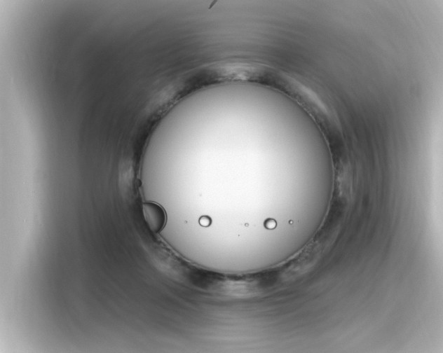 X0000116150314200911301546