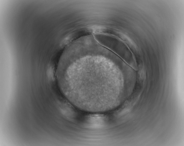 X0000116150316200911301546