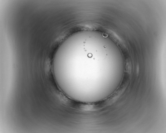 X0000116150318200911301546