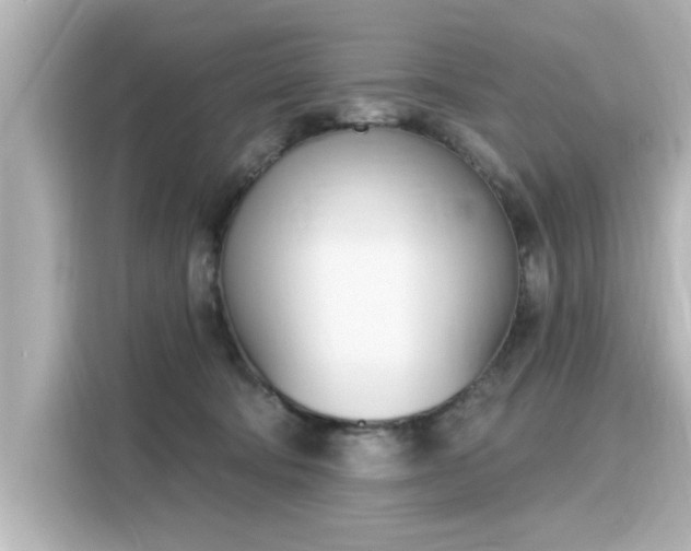 X0000116150322200911301546