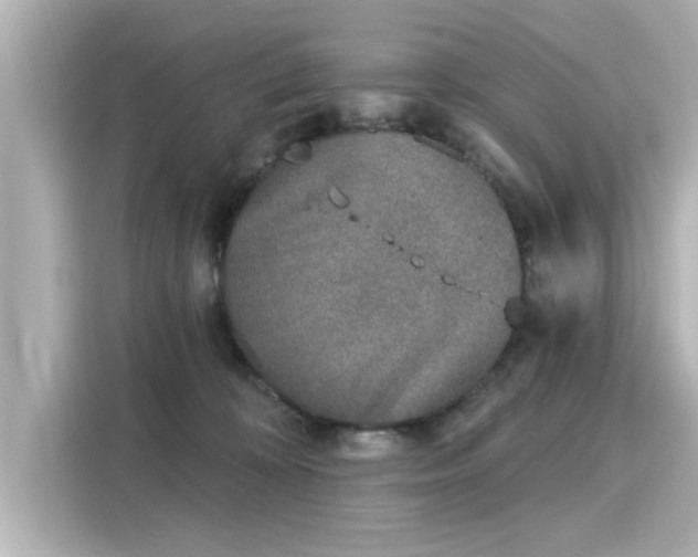 X0000116150324200911301546