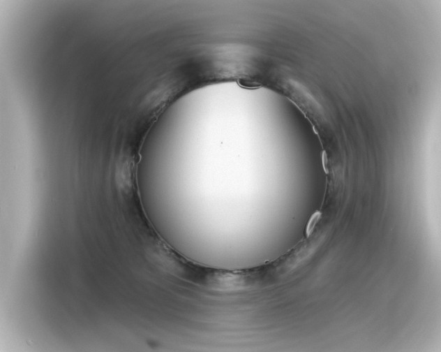 X0000116150325200911301546