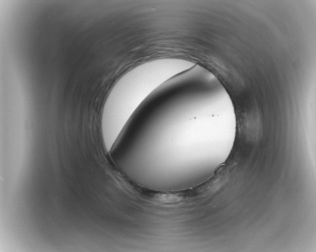 X0000116150327200911301546