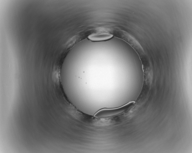 X0000116150329200911301546