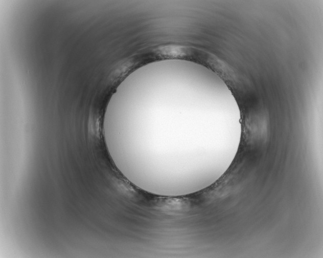 X0000116150330200911301546