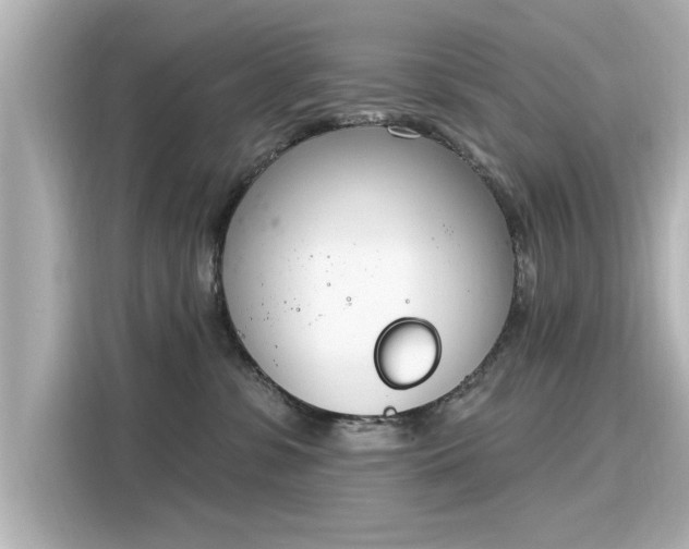 X0000116150331200911301546