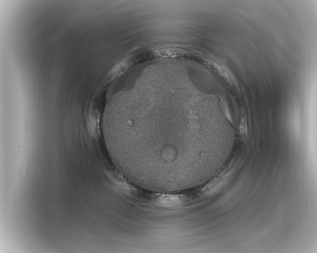 X0000116150332200911301546