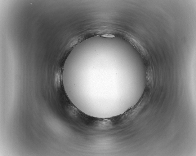 X0000116150333200911301546