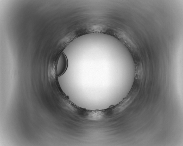 X0000116150334200911301546