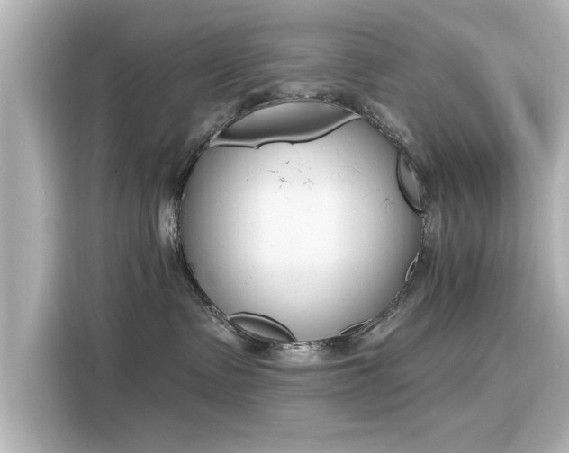 X0000116150335200911301546