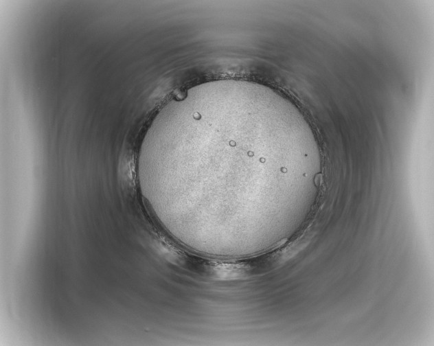 X0000116150336200911301546