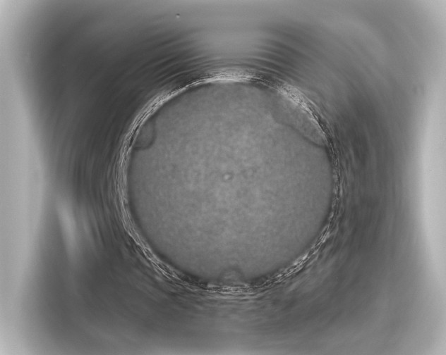 X0000116150337200911301545