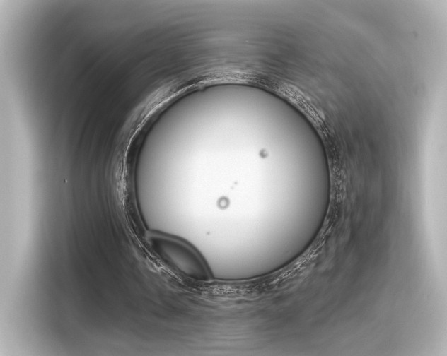 X0000116150338200911301545