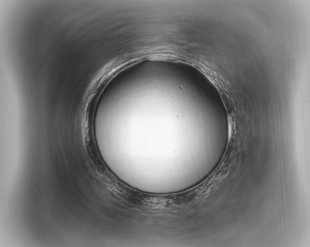 X0000116150339200911301545