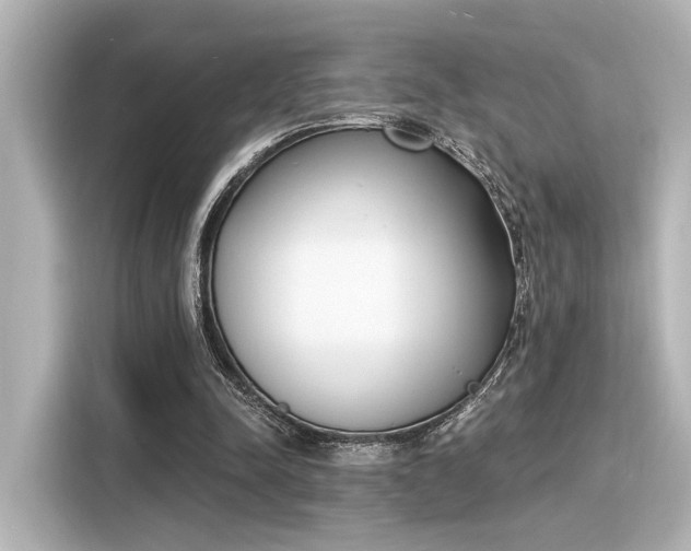 X0000116150342200911301545