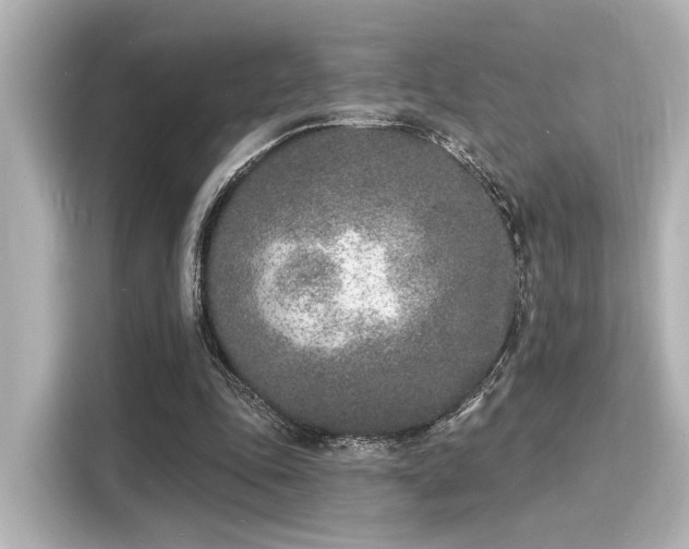 X0000116150343200911301545