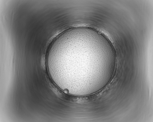 X0000116150345200911301545