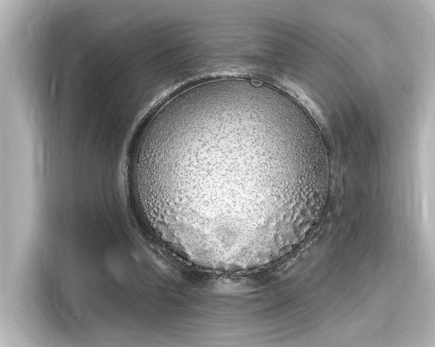 X0000116150346200911301545