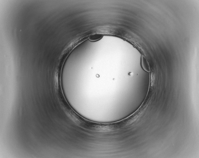 X0000116150349200911301545