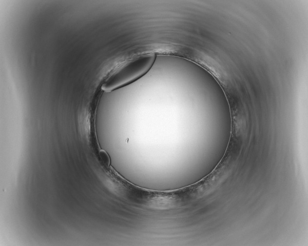 X0000116150350200911301545