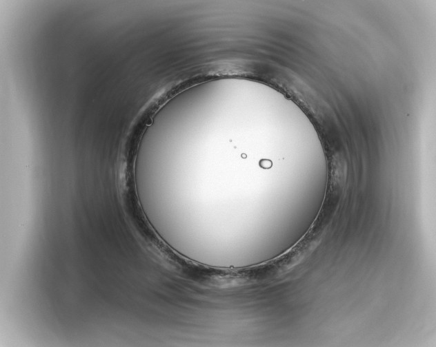 X0000116150351200911301545