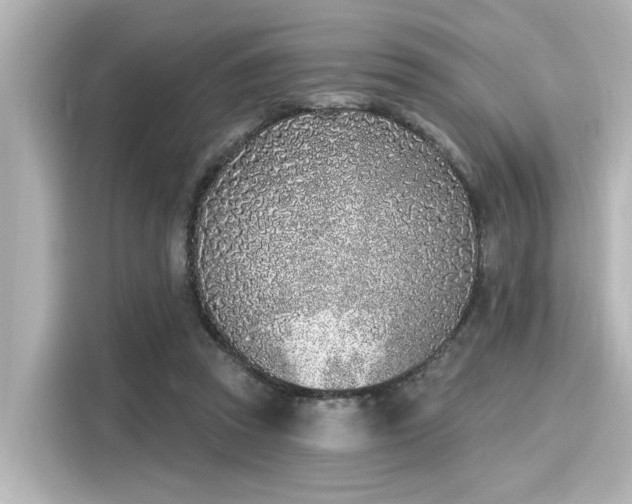 X0000116150353200911301545