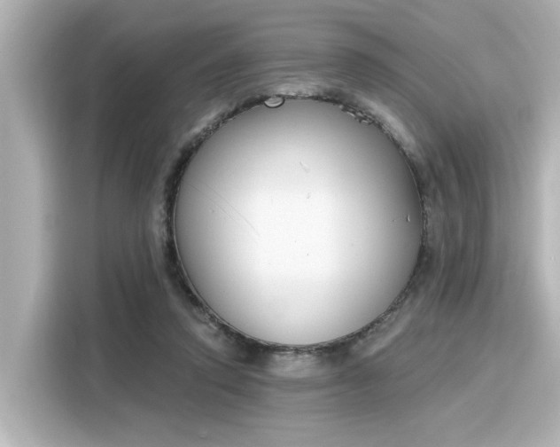 X0000116150354200911301545