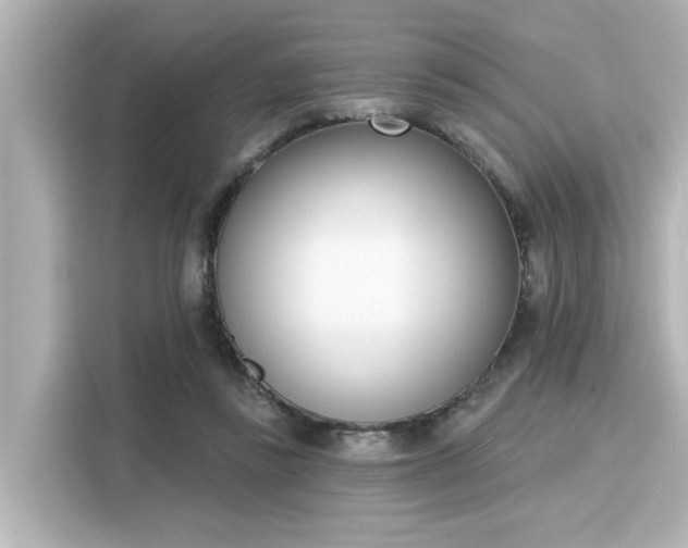 X0000116150355200911301545