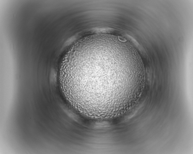 X0000116150357200911301545