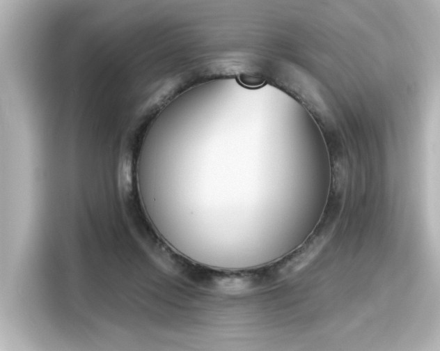 X0000116150358200911301545