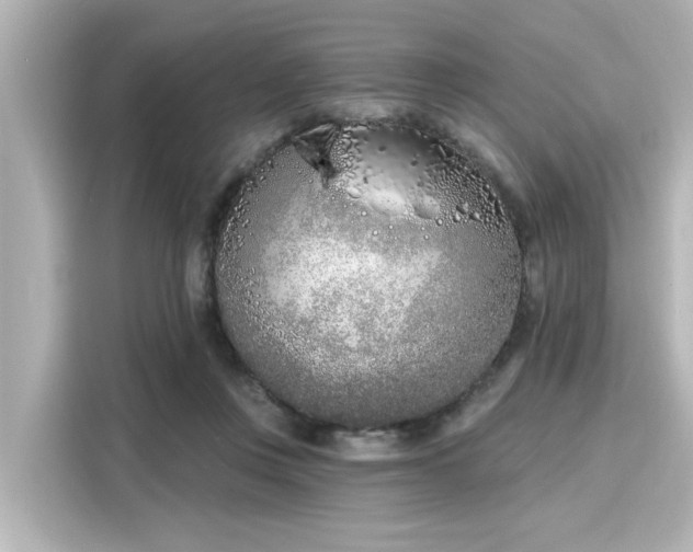 X0000116150359200911301545