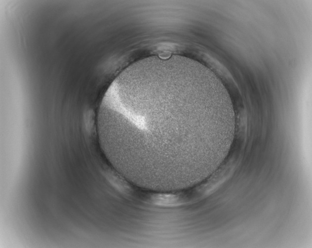 X0000116150361200911301545