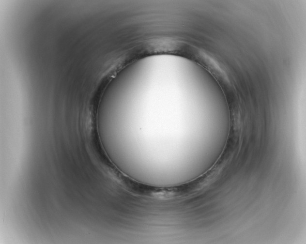 X0000116150362200911301545