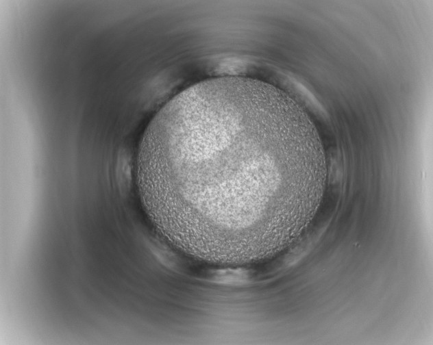 X0000116150363200911301545